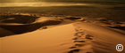 Preview Desert
